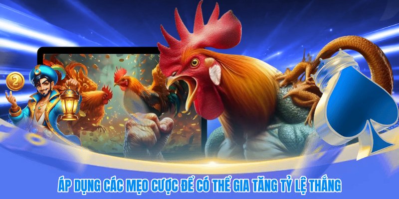 Áp dụng các mẹo cược để có thể gia tăng tỷ lệ thắng